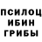 Псилоцибиновые грибы Cubensis Not 3rd