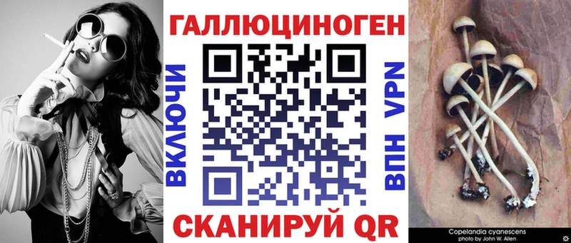 Псилоцибиновые грибы Psilocybe  маркетплейс формула  Николаевск-на-Амуре 